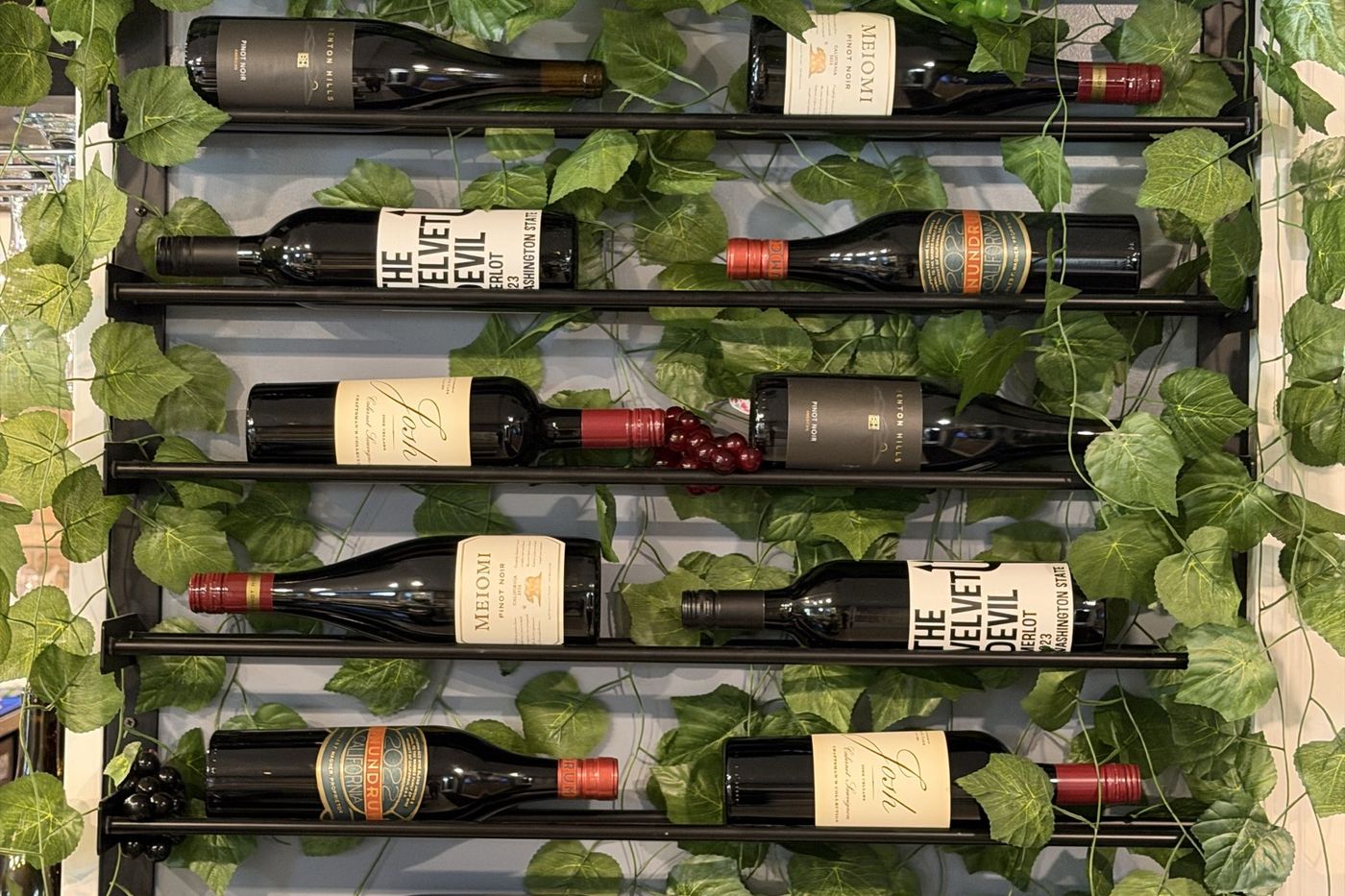 A wall-mounted wine rack threaded with ivy.